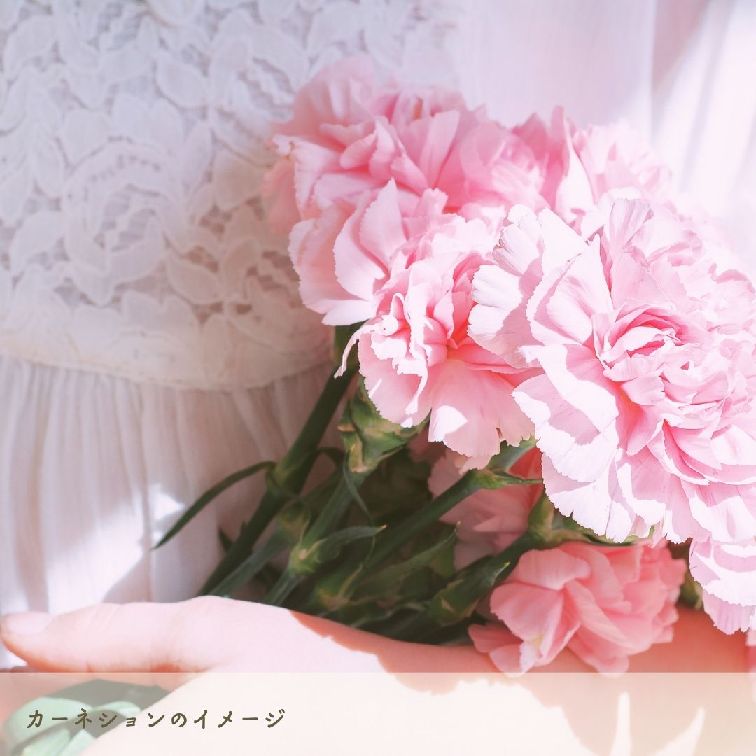 秦野カーネション (3)