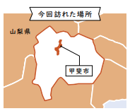 桑の葉剪定援農隊2