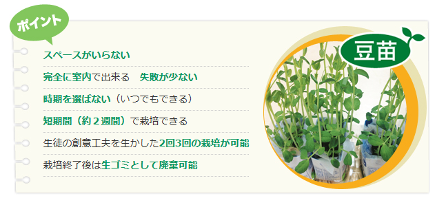 toumyousaibai0