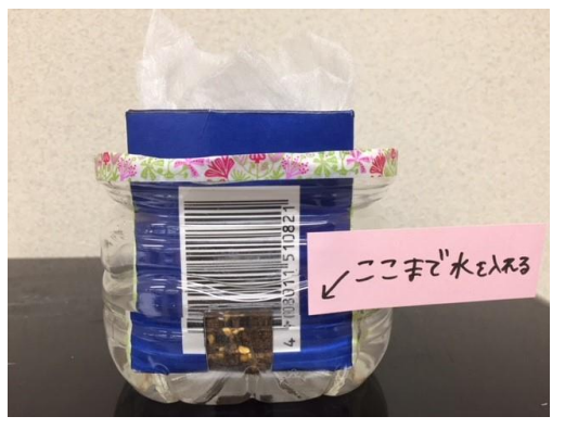 toumyousaibai1 (9)