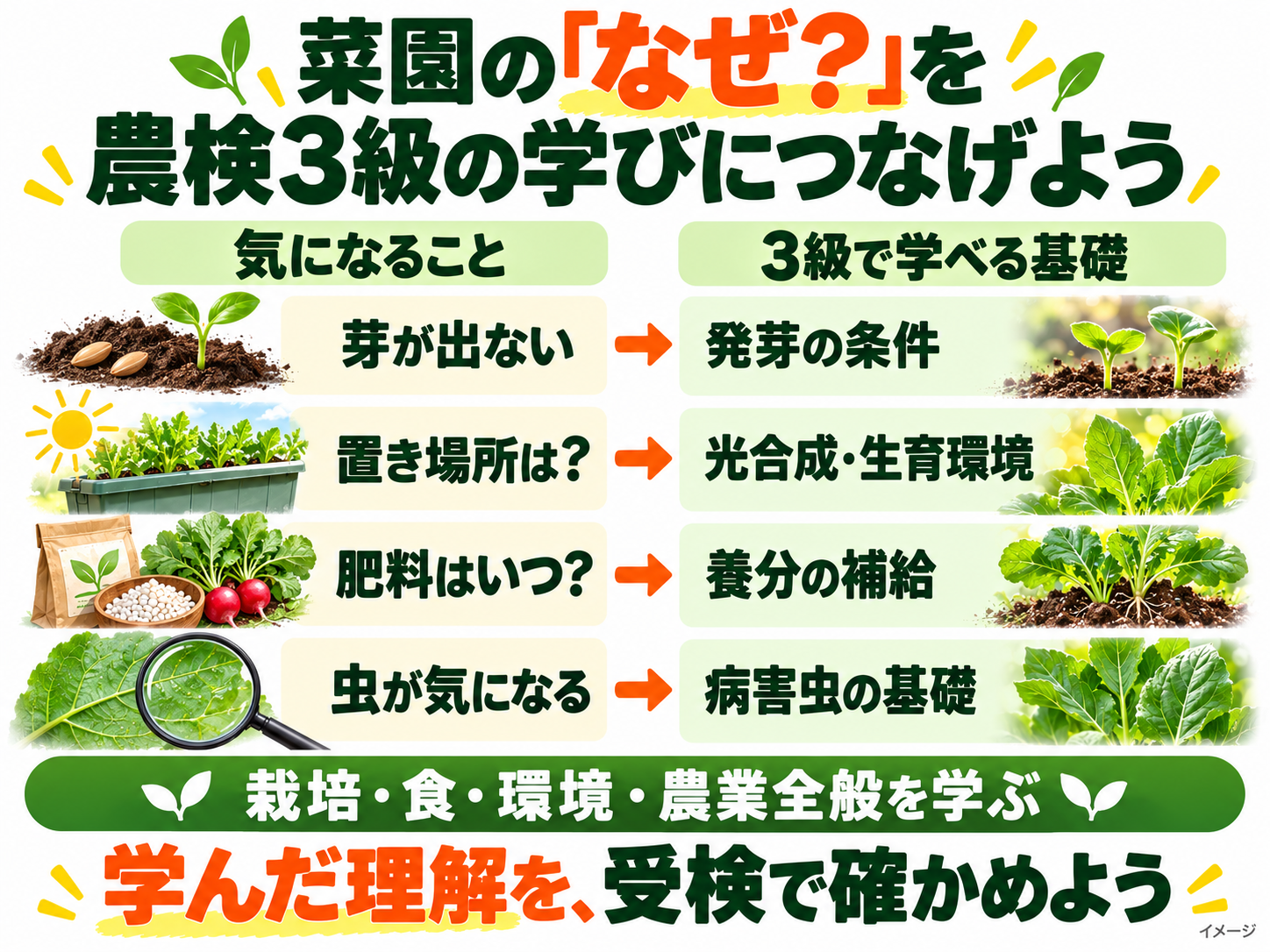 nouken_01_infographic_02_learning