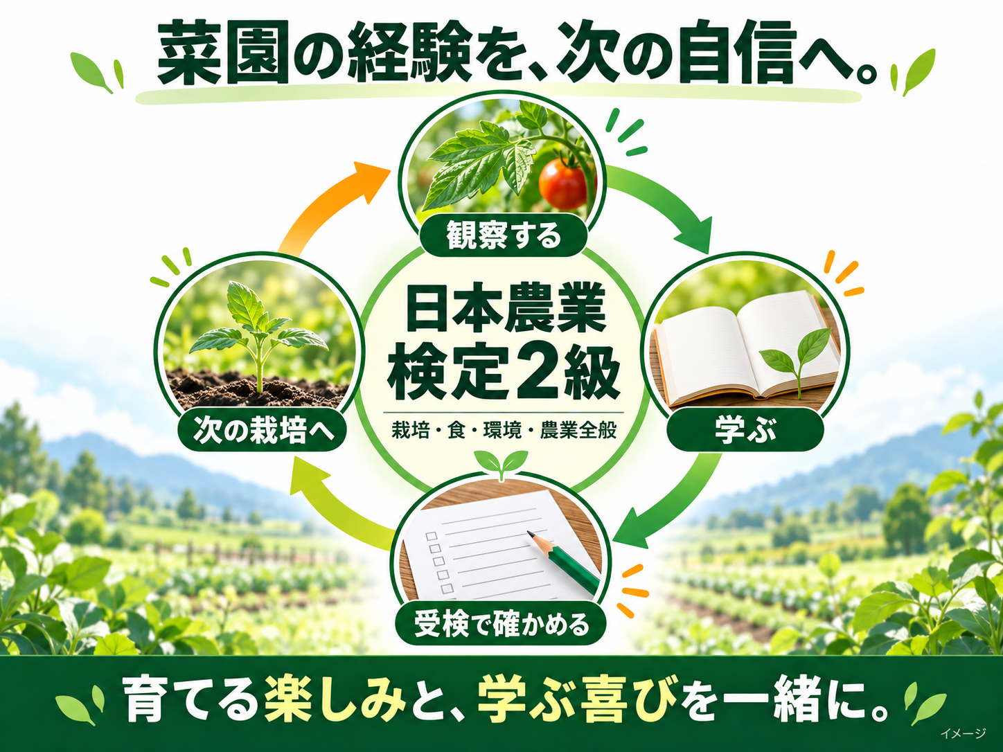 nouken_02_infographic_02_learning
