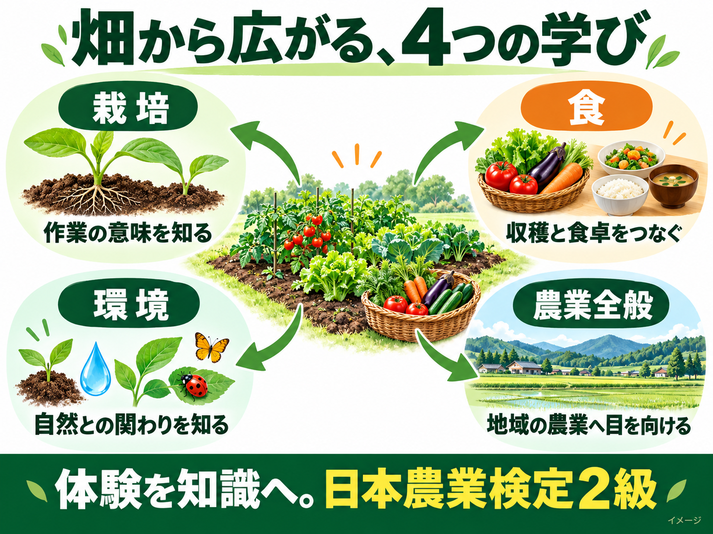 nouken_03_infographic_02_fields