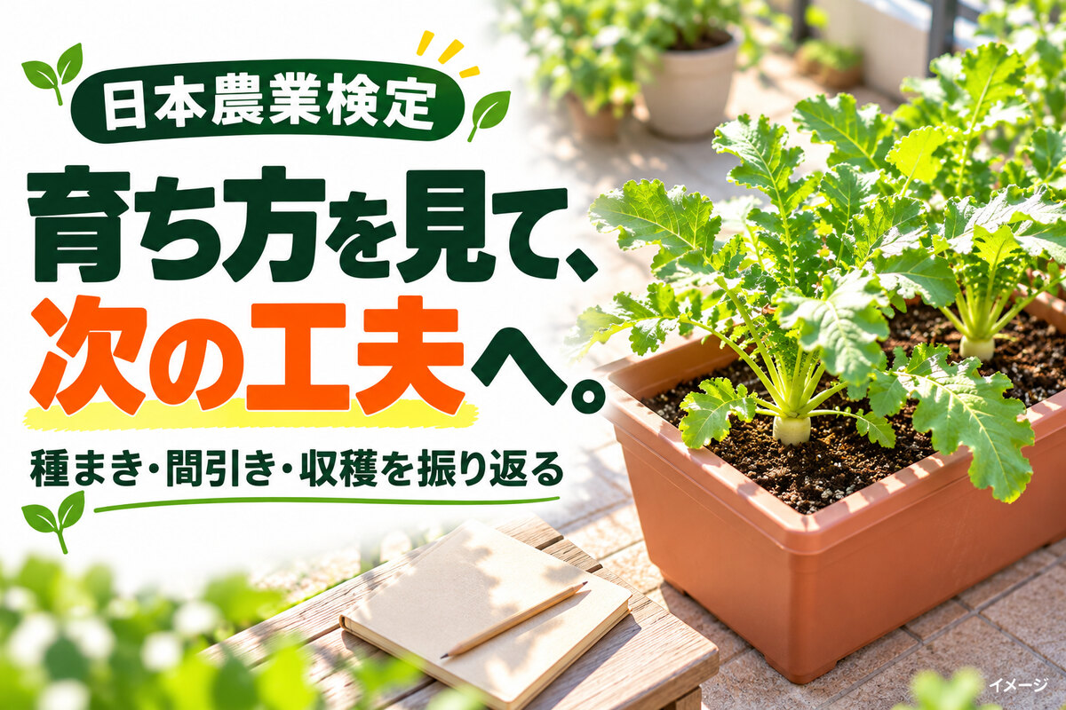 nouken_03_body_image