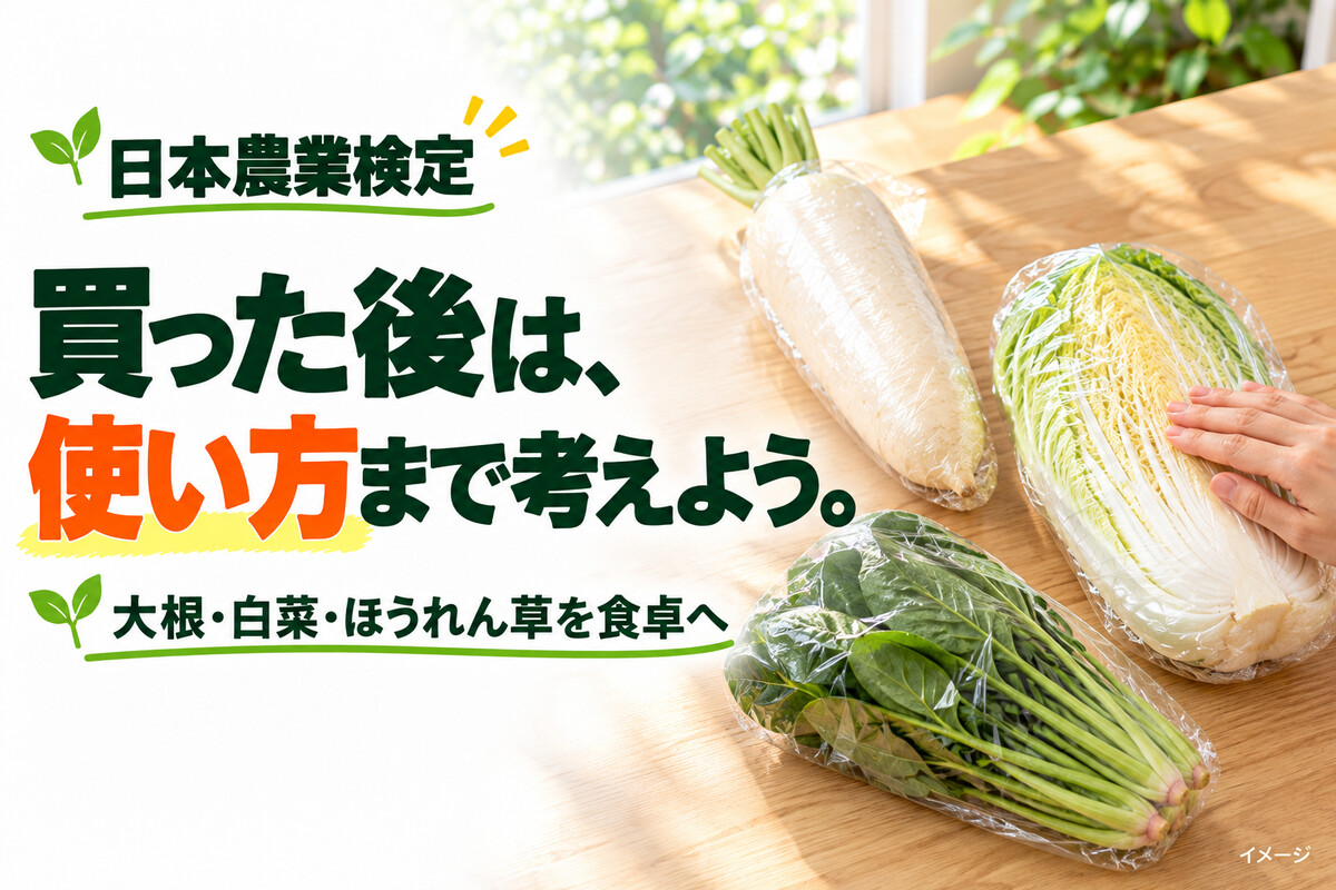 nouken_04_body_image