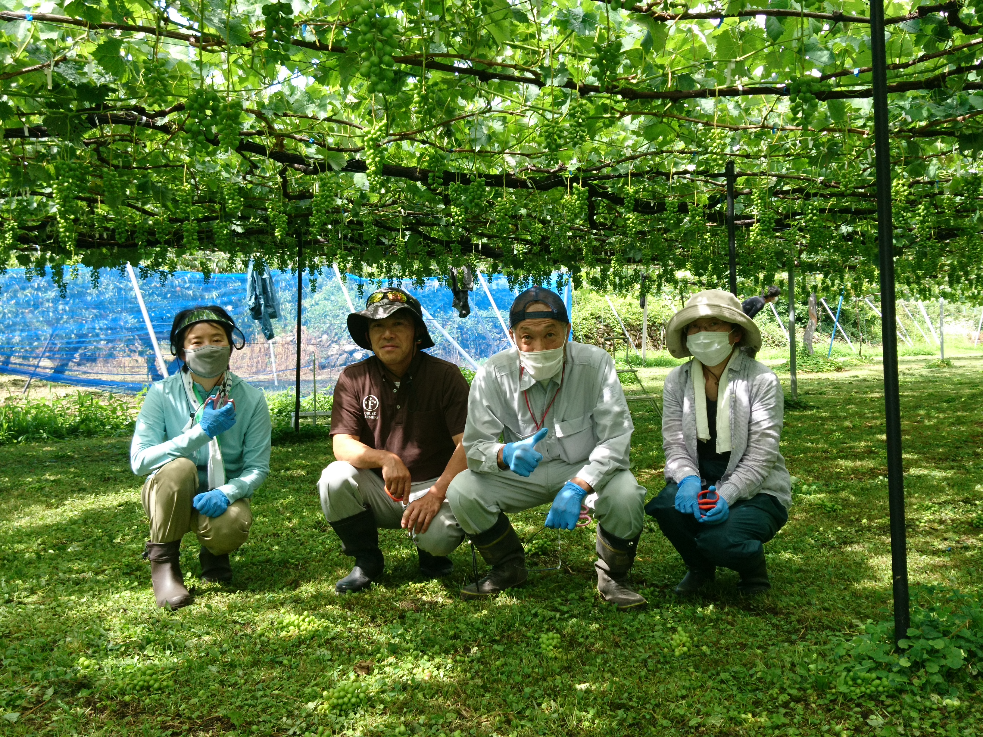 3_ 小布施ぶどう