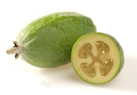 4_feijoa01