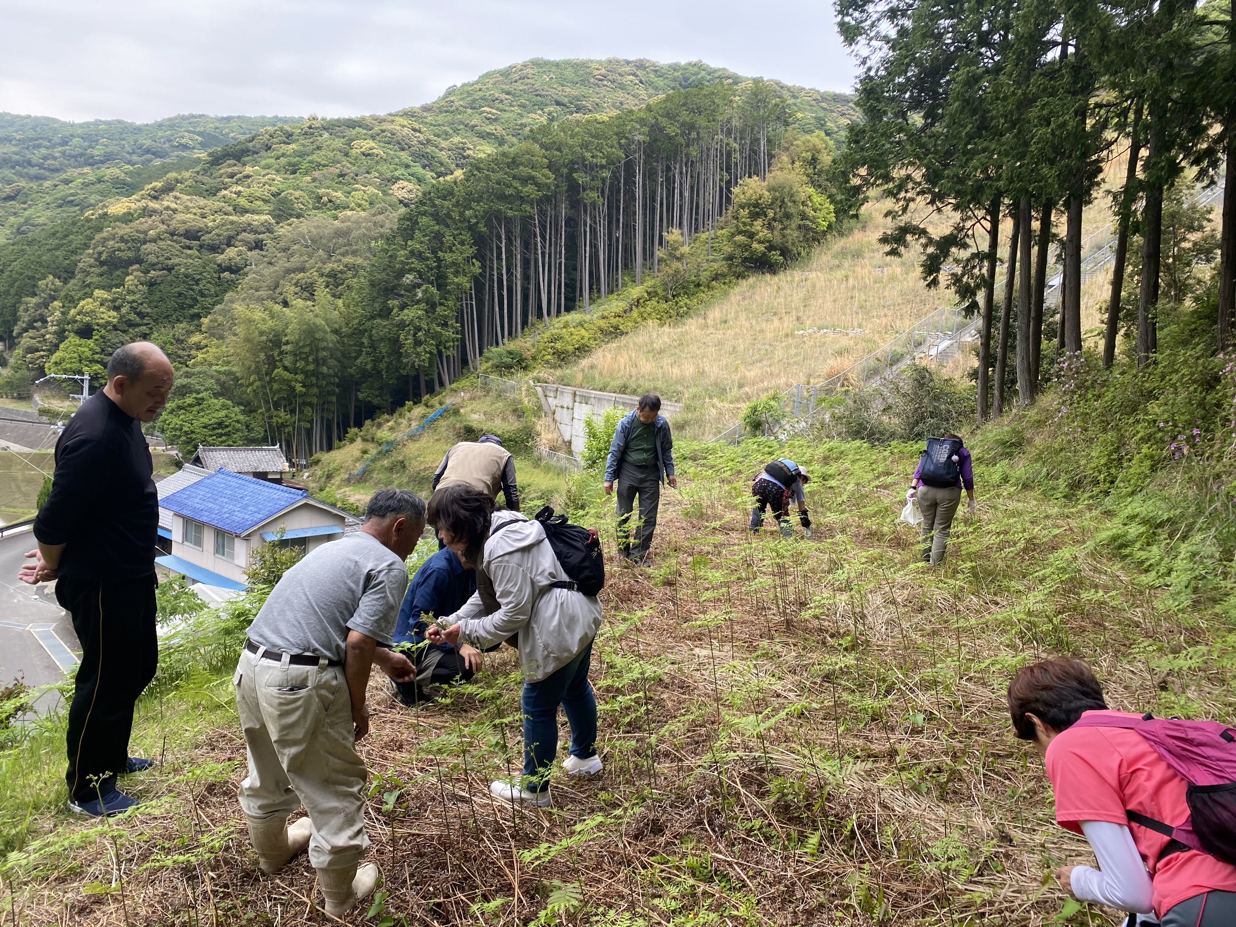 和深で里山体験