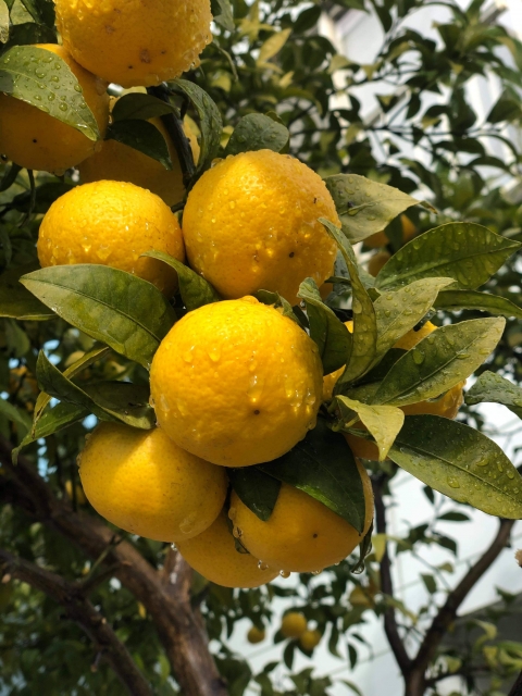 4578558_s