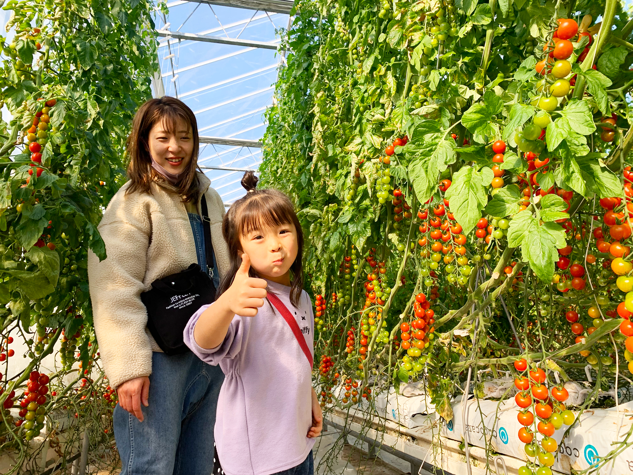 井出トマト農園