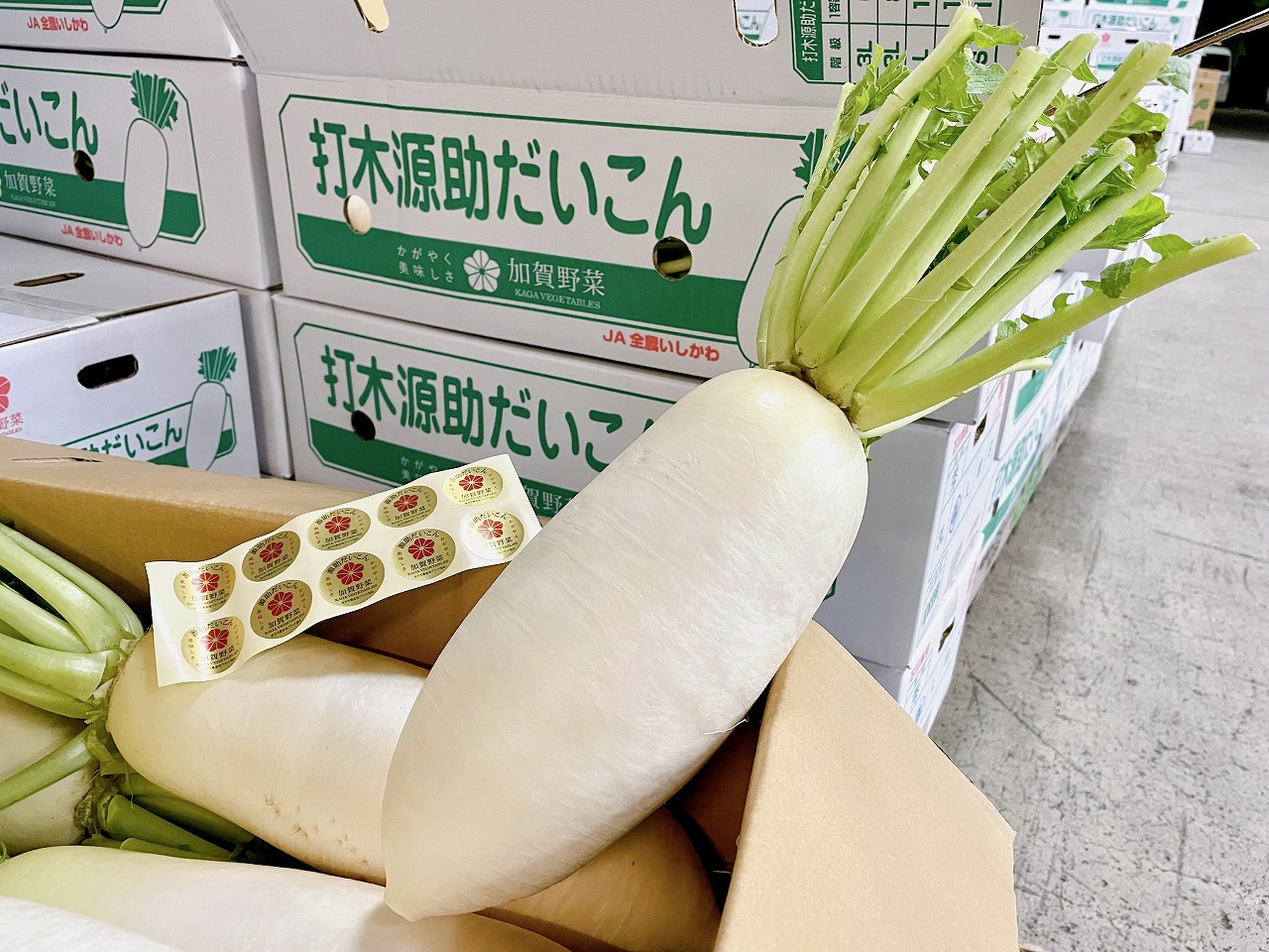 源助だいこん_初せり